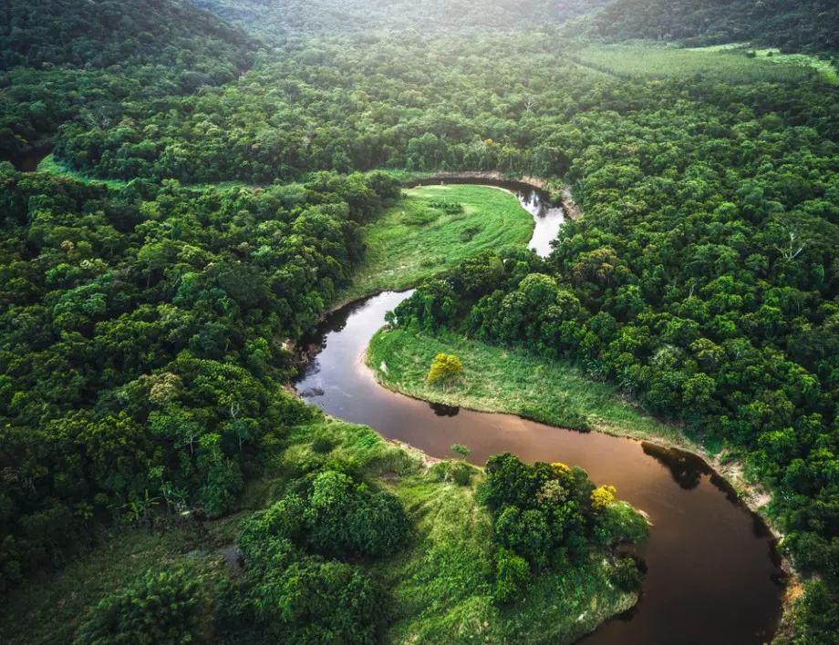 Най пълноводната река в света – как е нейното име?