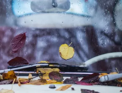 Как да шофирате безопасно през есента