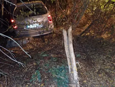Блъсна се в дърво: Млад мъж загина в катастрофа край село Топчии (СНИМКИ)