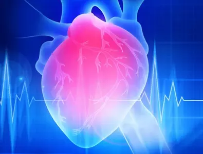 Доктори признават: Висок клас магнезий кара сърцето да работи безотказно
