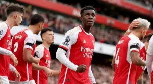 Козовете на Арсенал във Висшата лига