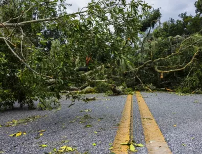 След бурята в Смолян: Сигнали за паднали дървета, липса на ток и отнесени покриви
