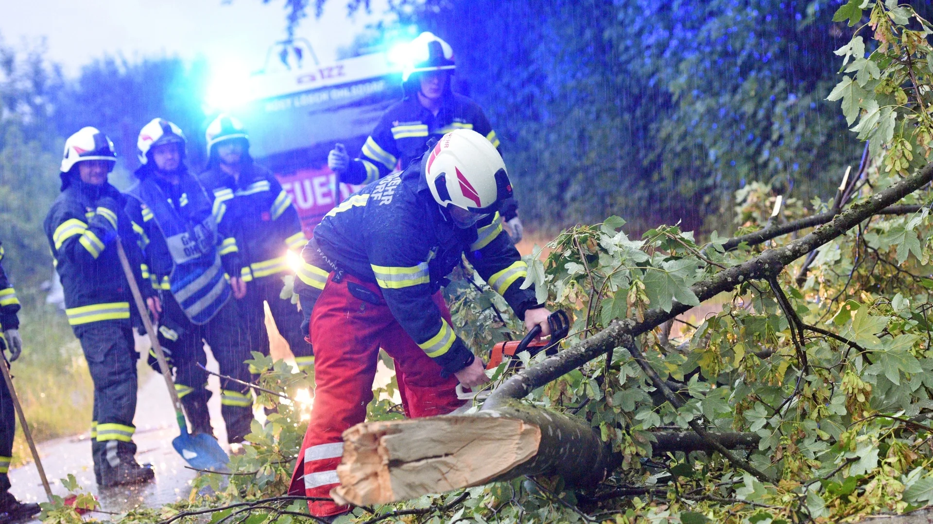 "Със скорост от 155 км/ч": Паднали дървета премазаха хора в Полша
