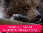 Спасените мечета от Белица имат нужда от средства, за да заминат за Гърция (ВИДЕО).
