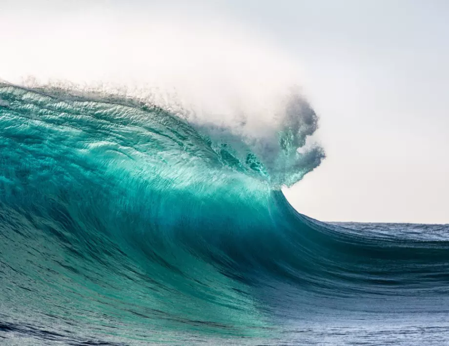 Сърфистка яхна гигантска 13-метрова вълна и постави рекорд (ВИДЕО)