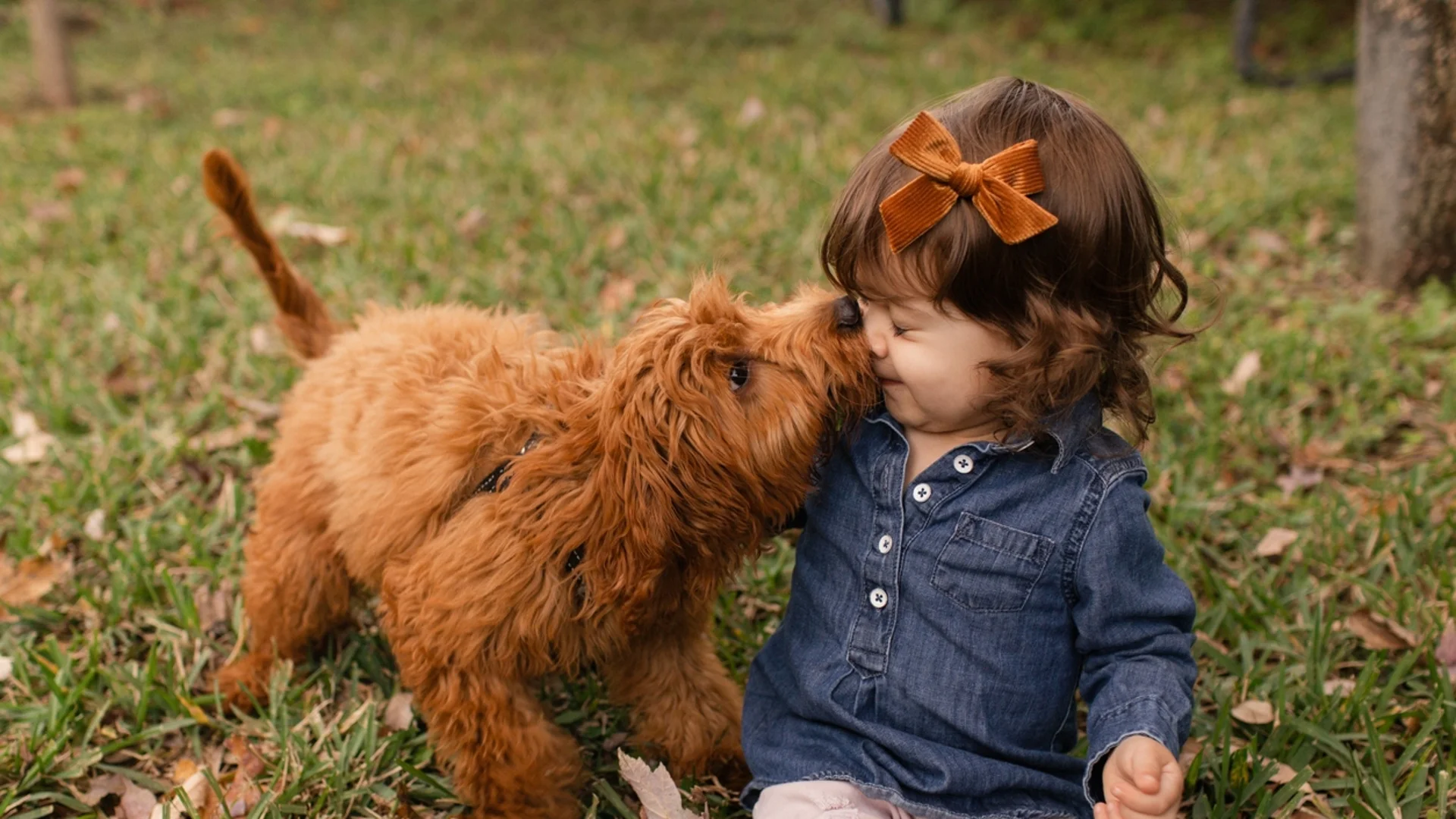 Прогноза за времето - 18 декември 2023 г. (понеделник)