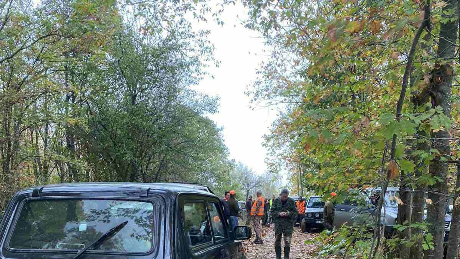 Глобиха цяла дружинка бракониери за забранен лов на дива свиня