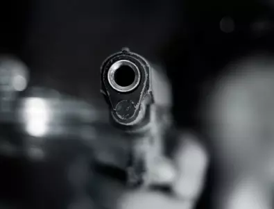 Стрелял по кучета: Разследват мъж в Перник
