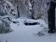 Заради обилния сняг: Близо 30 000 домакнства са без ток