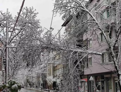 Заради снега: Глобиха със 120 000 лева почистващите фирми в София