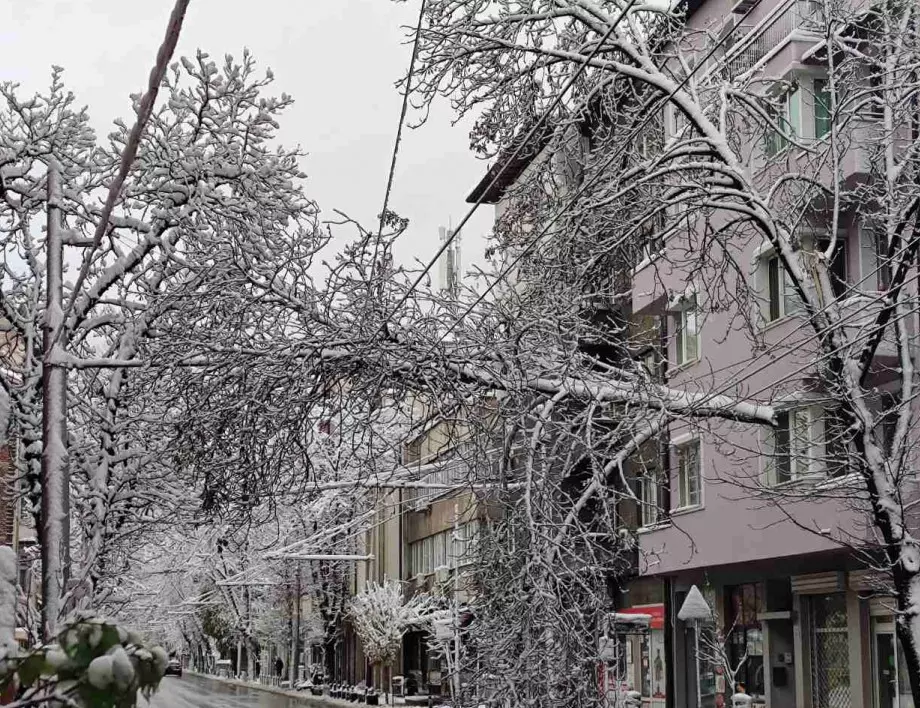 Заради снега: Глобиха със 120 000 лева почистващите фирми в София