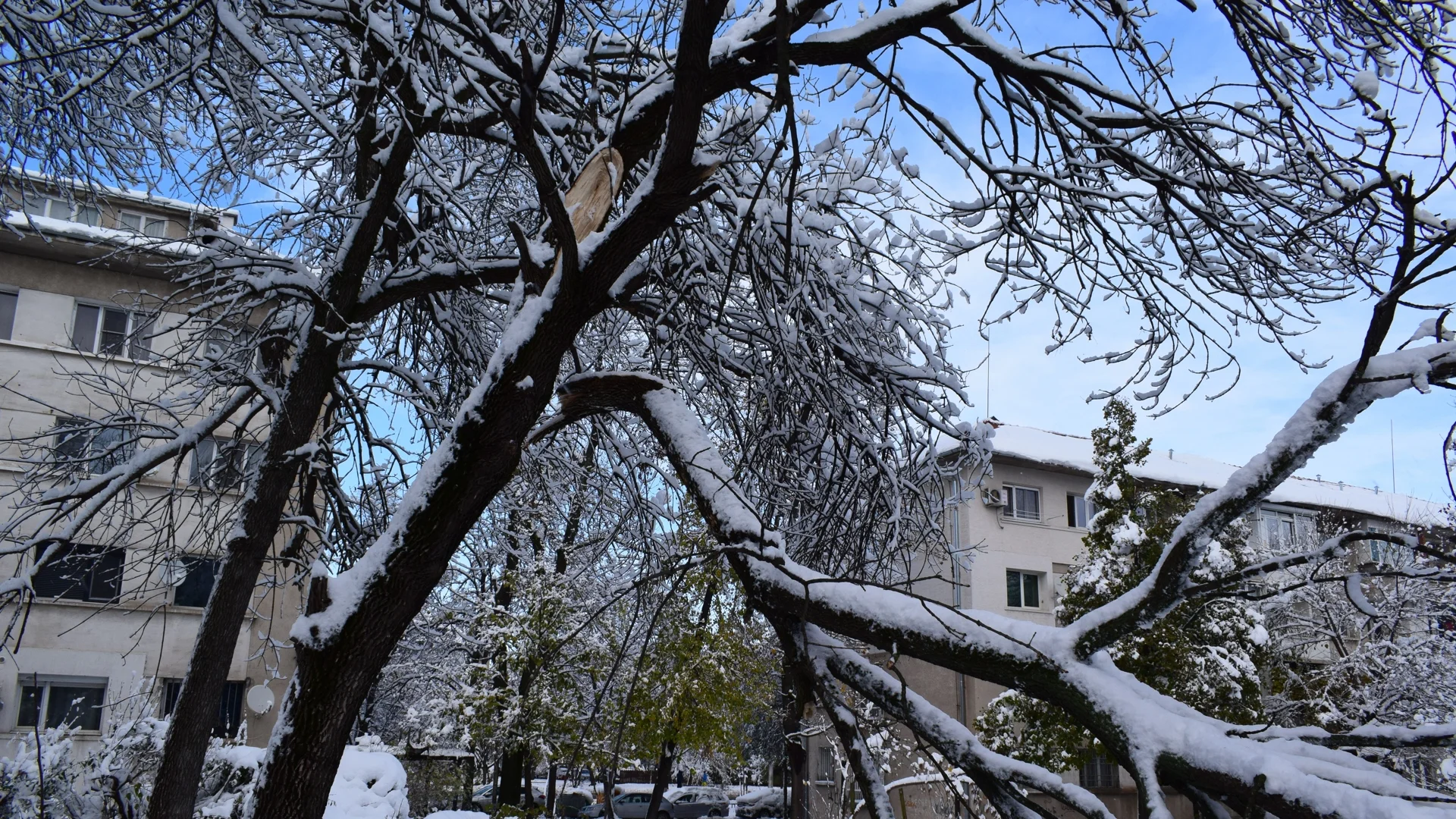 Позиция на ЕРМ Запад относно неустойки при липса на електрозахранване