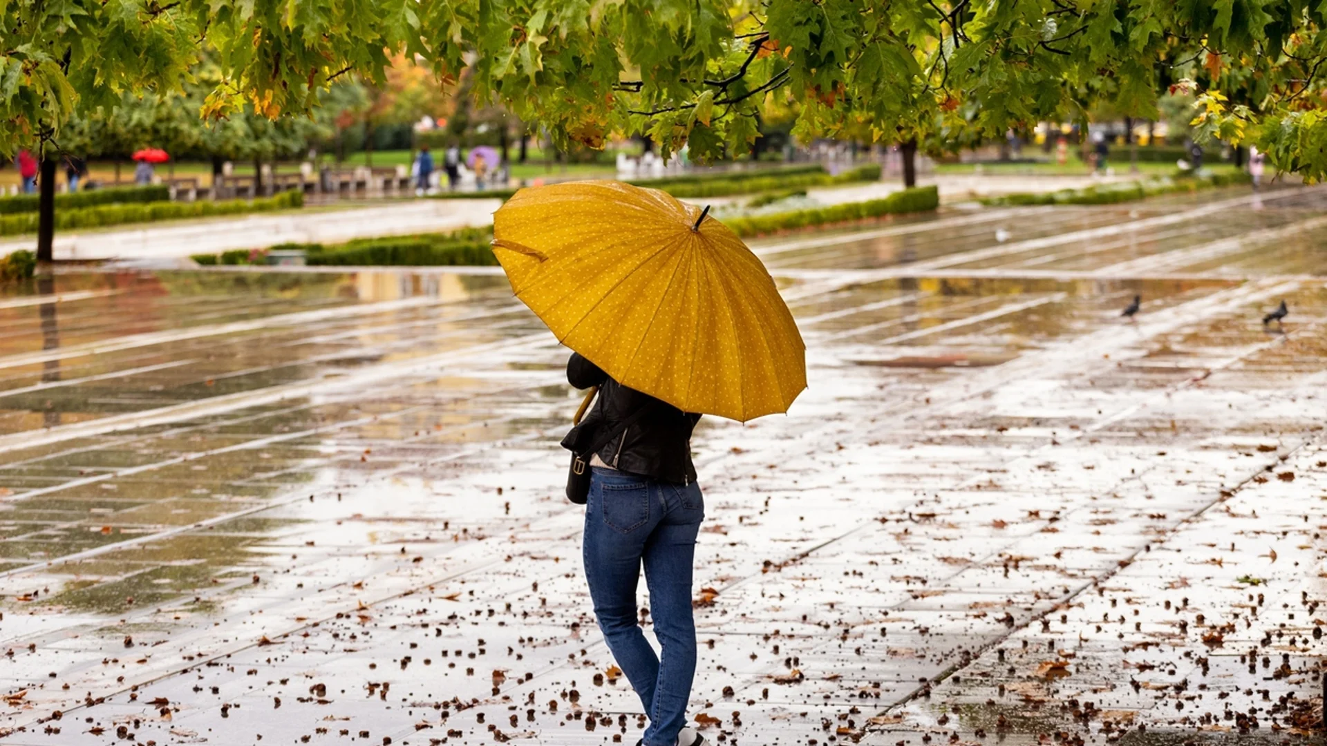 Жълт и оранжев код за дъжд и вятър в части на страната