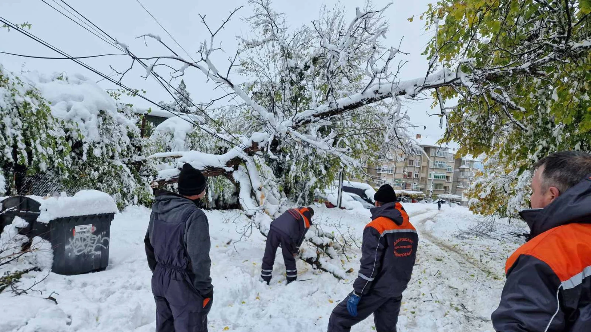 При първия сняг внос на ток в България е имало - защото е било по-евтино