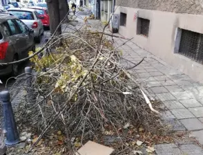 Терзиев с отчет за клоните: Още има да се чисти