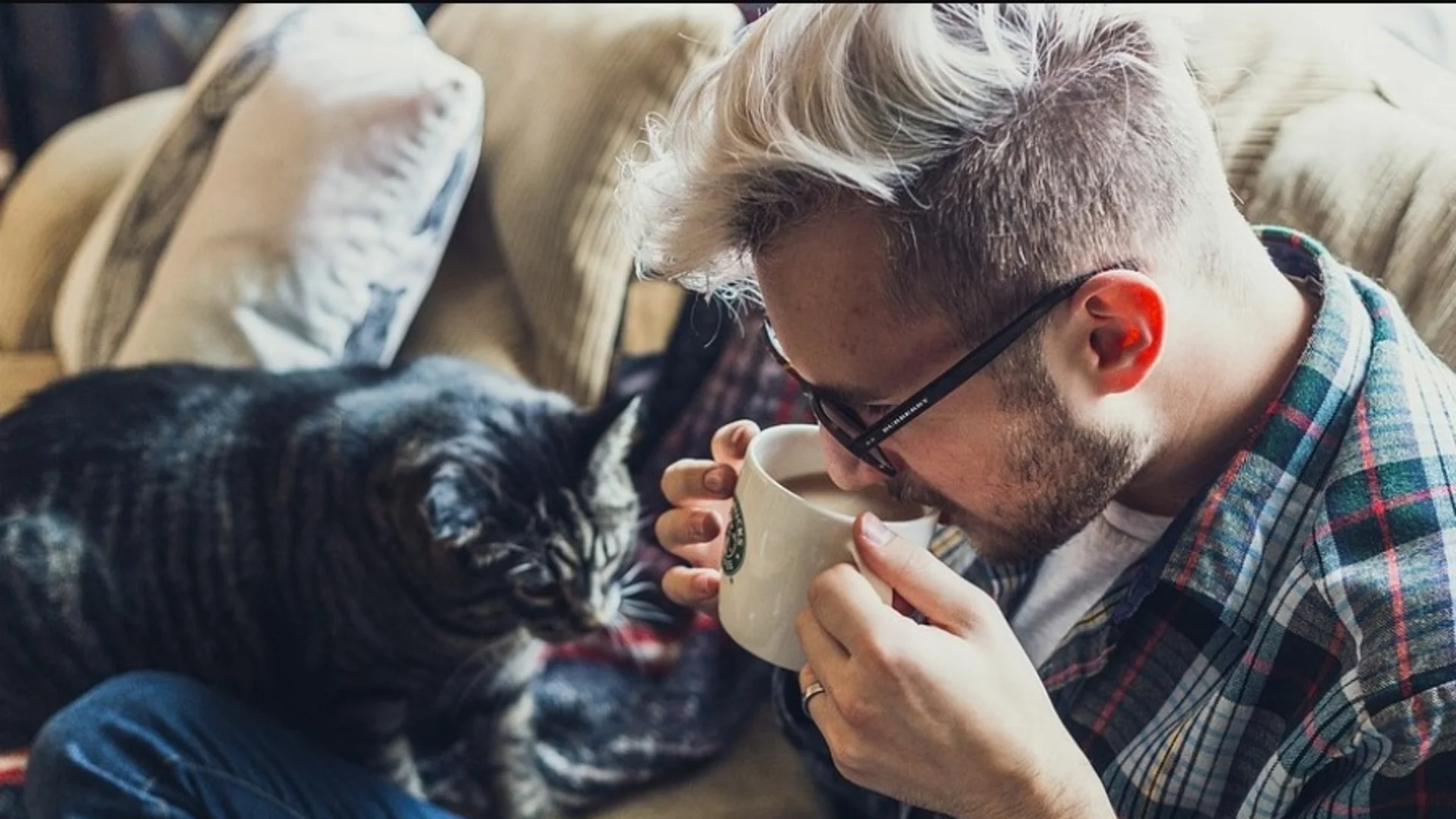 7 освежаващи напитки, които заместват кафето