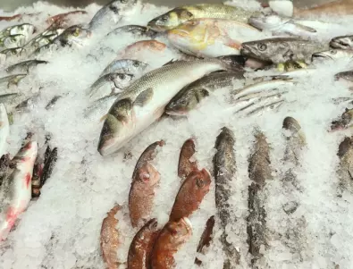 Хванат в крачка: Рибар се опита да скрие над 100 кг незаконна риба