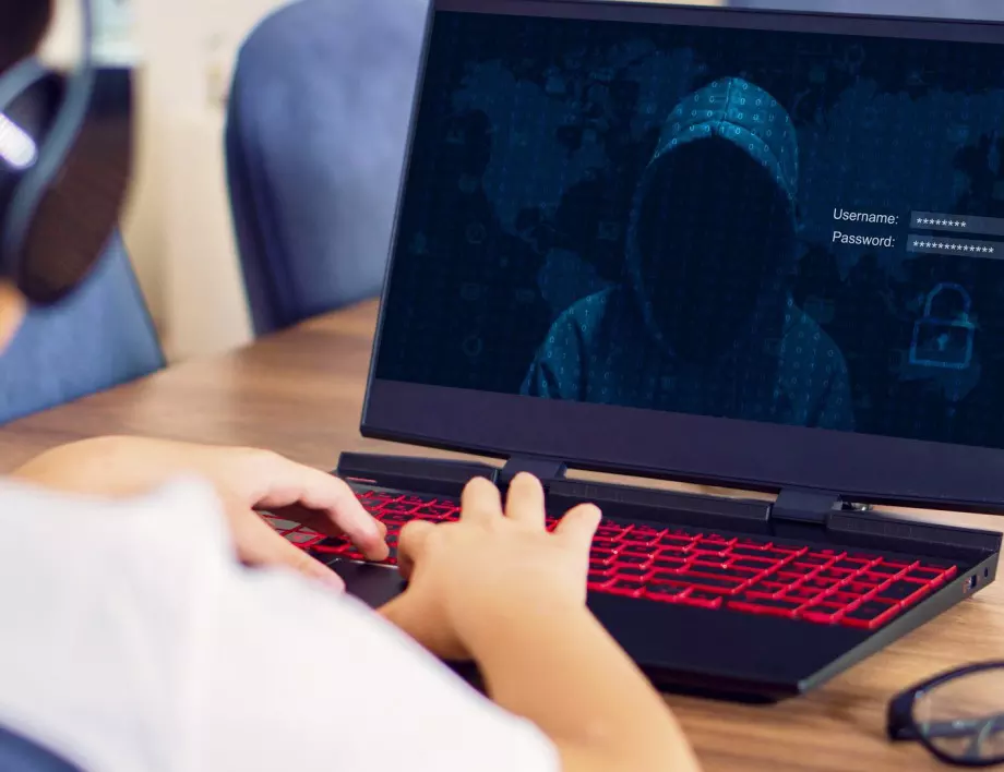 Руски хакери ли атакуваха Швеция