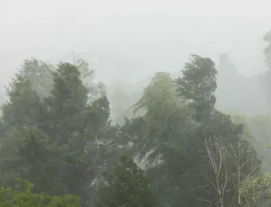 Бурите в Австралия взеха десетки жертви