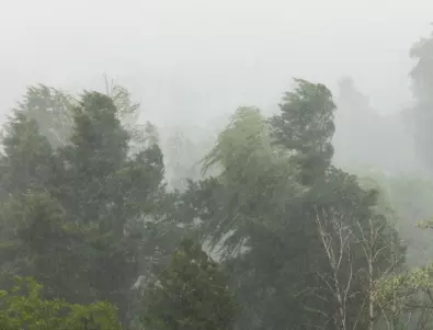 Тропически циклон в Мадагаскар взе жертви, стотици къщи са унищожени (ВИДЕО)