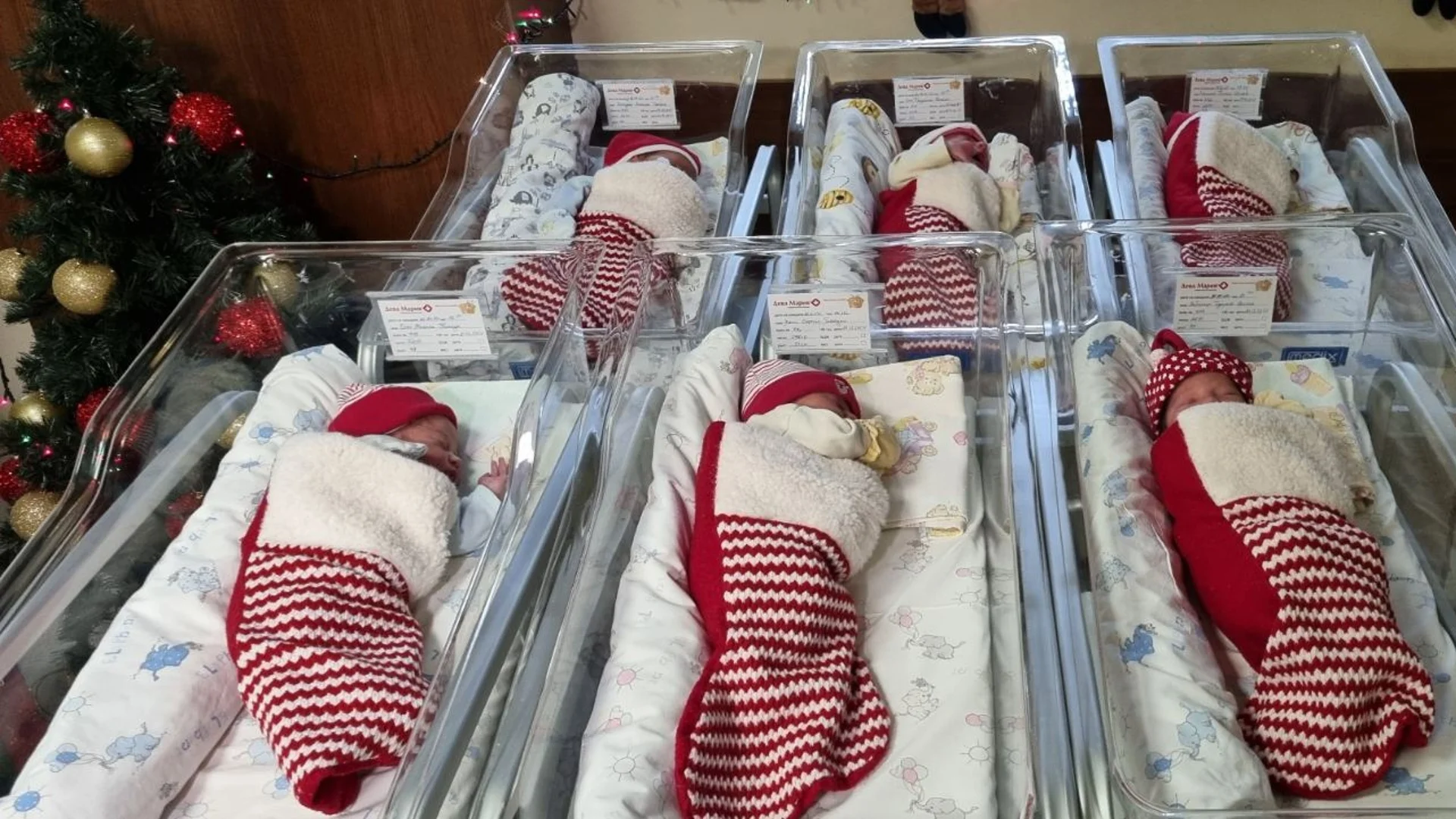 Изписват 17 бебета в Бургас, "опаковани" в коледни чорапчета (СНИМКИ)