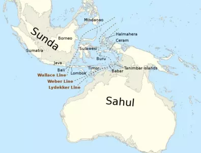 Австралийска Атлантида: На дъното на океана е открита земя, където може да са живели стотици хиляди хора