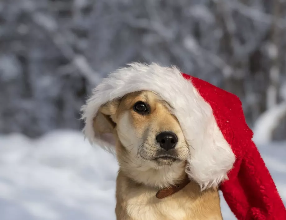 Weather Forecast December 31, 2023 (Sunday) Rhewal