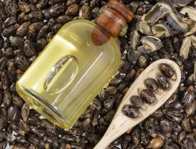 Рициново масло - ето как го използват опитните градинари и цветари