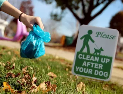 Ако не събереш фекалиите на кучето, ще ти ги върнат в пликче: Как Италия ще се бори с градските нечистотии