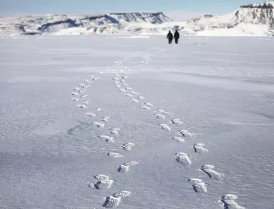 Български изследователи откриха останки от изчезнал чилийски военен самолет в Антарктида (СНИМКИ) 