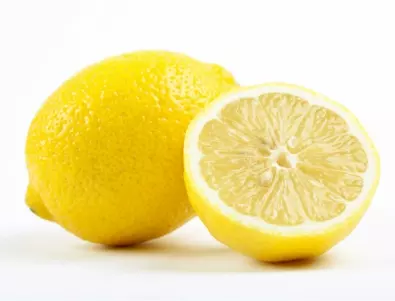 Няма да повярвате за колко пари продадоха на търг 285-годишен лимон (ВИДЕО+СНИМКА)
