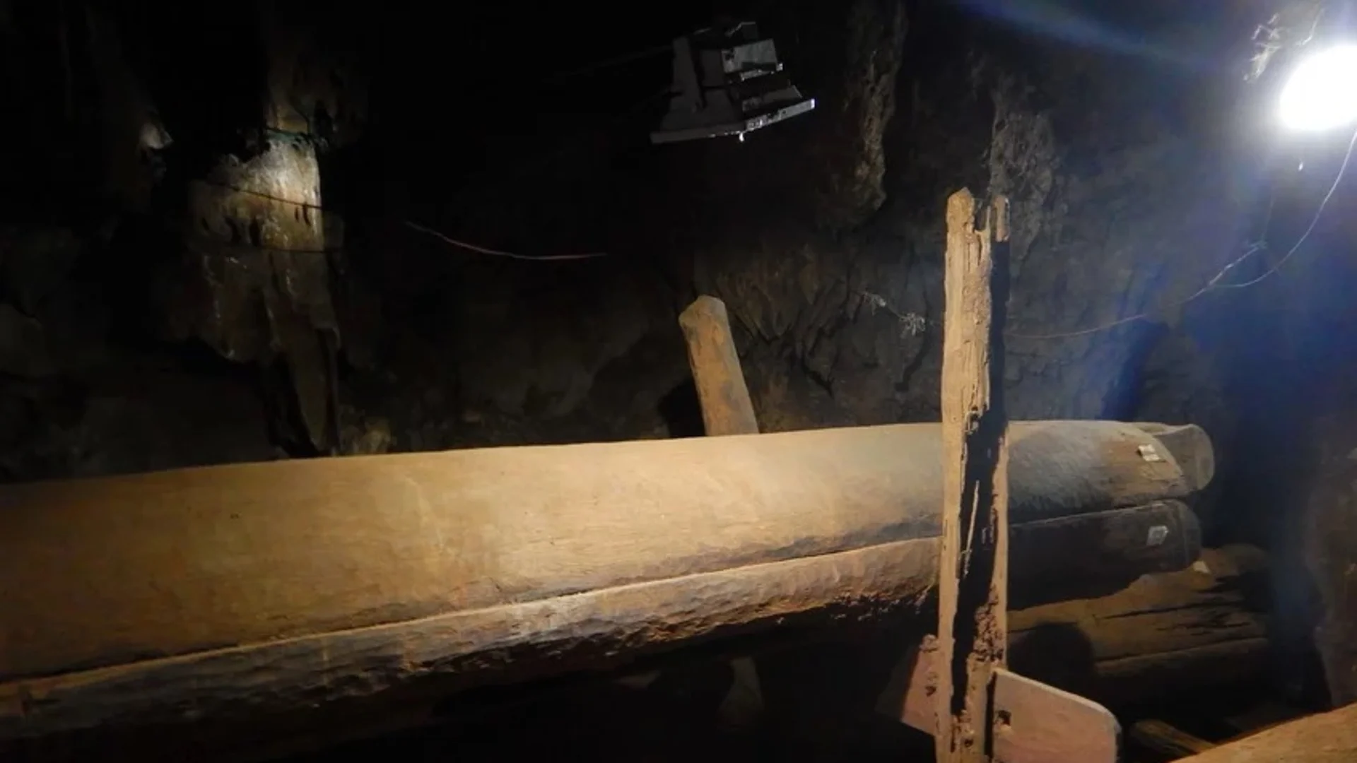 Древна ДНК разкрива нови факти за праисторическата Култура на дървения ковчег