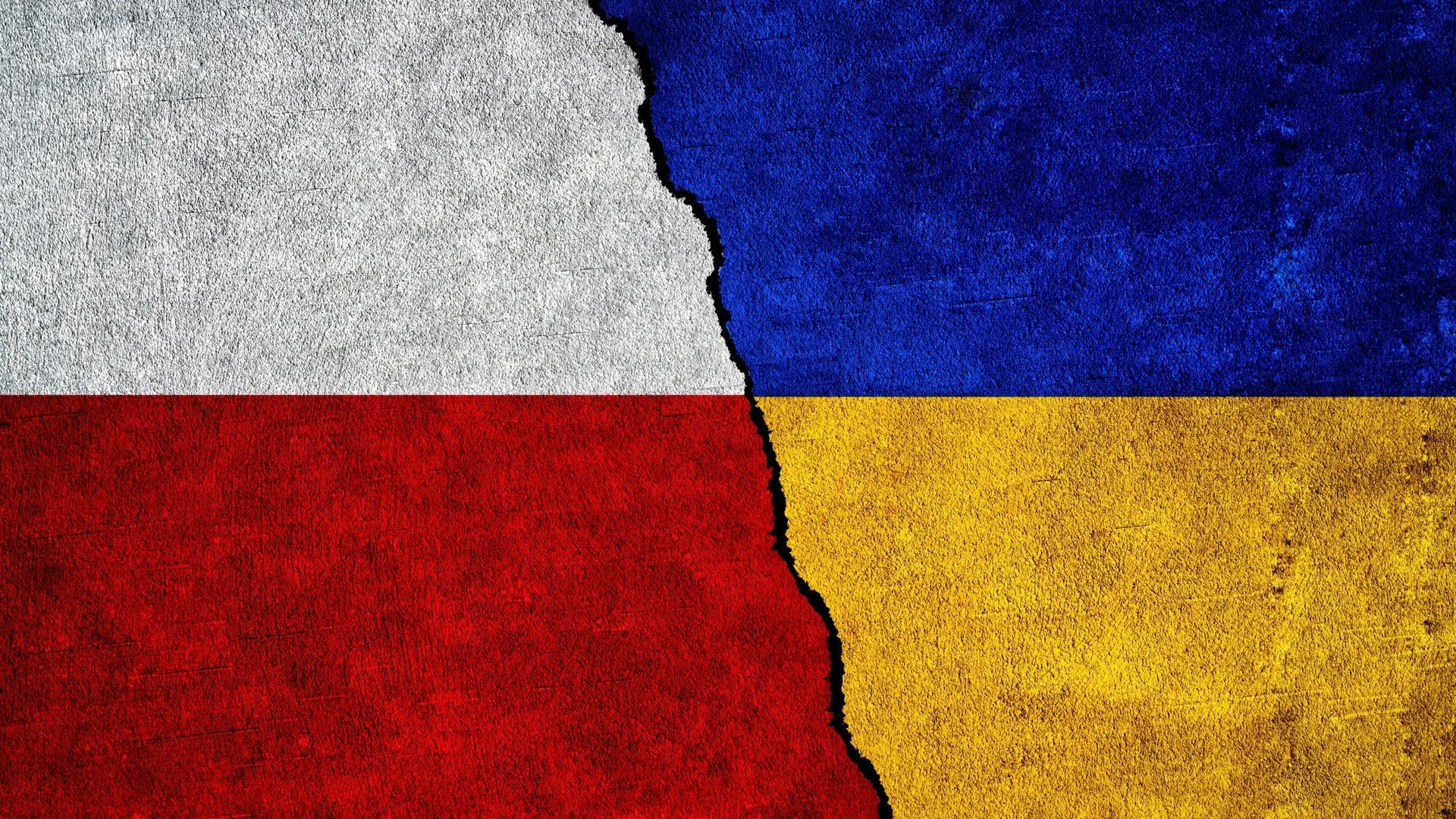 Полша и Германия обещаха да не депортират украинци с изтекли паспорти