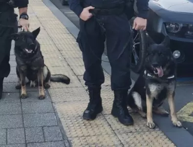 Кучета-полицаи ще следят за реда в центъра на Бургас (СНИМКИ)
