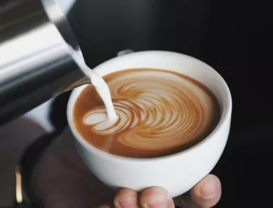 Вместо кафе: 5 причини да започнете да пиете цикория