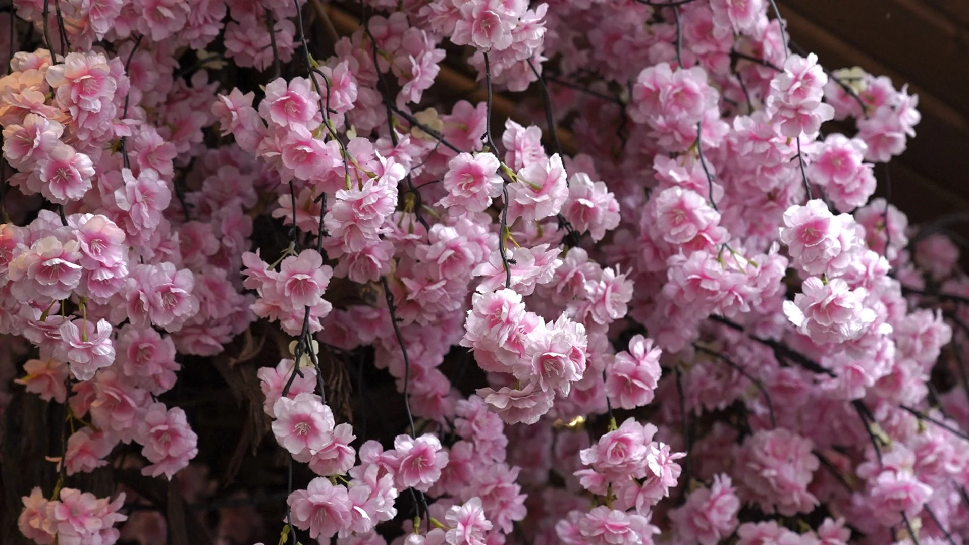 Цветята, които предпазват градината от вредители