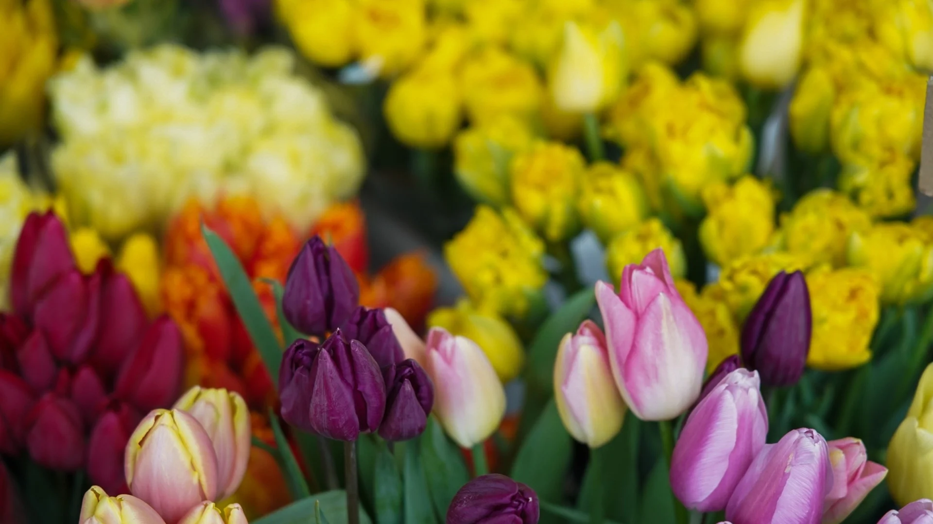 Прогноза за времето - 14 април 2024 година (неделя)