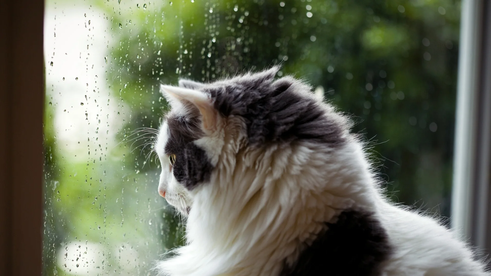 Прогноза за времето - 3 май 2024 г. (петък)