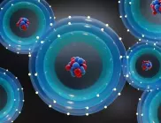 Английският физик сър Джеймс Чадуик открива неутрона