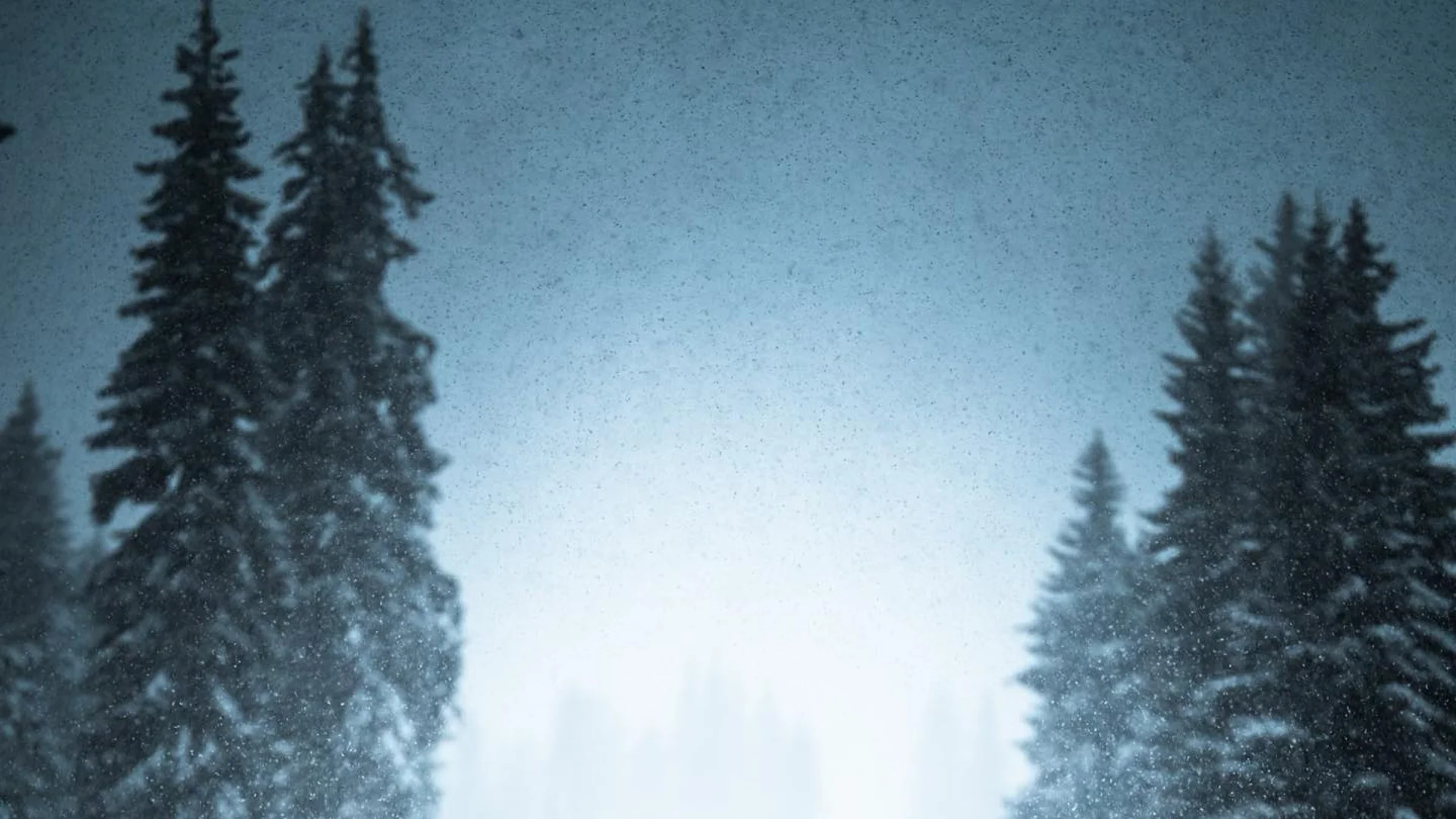 Зимна приказка: Бургазлии си казаха „да“ на ски в обилен снеговалеж (ВИДЕО+СНИМКИ)