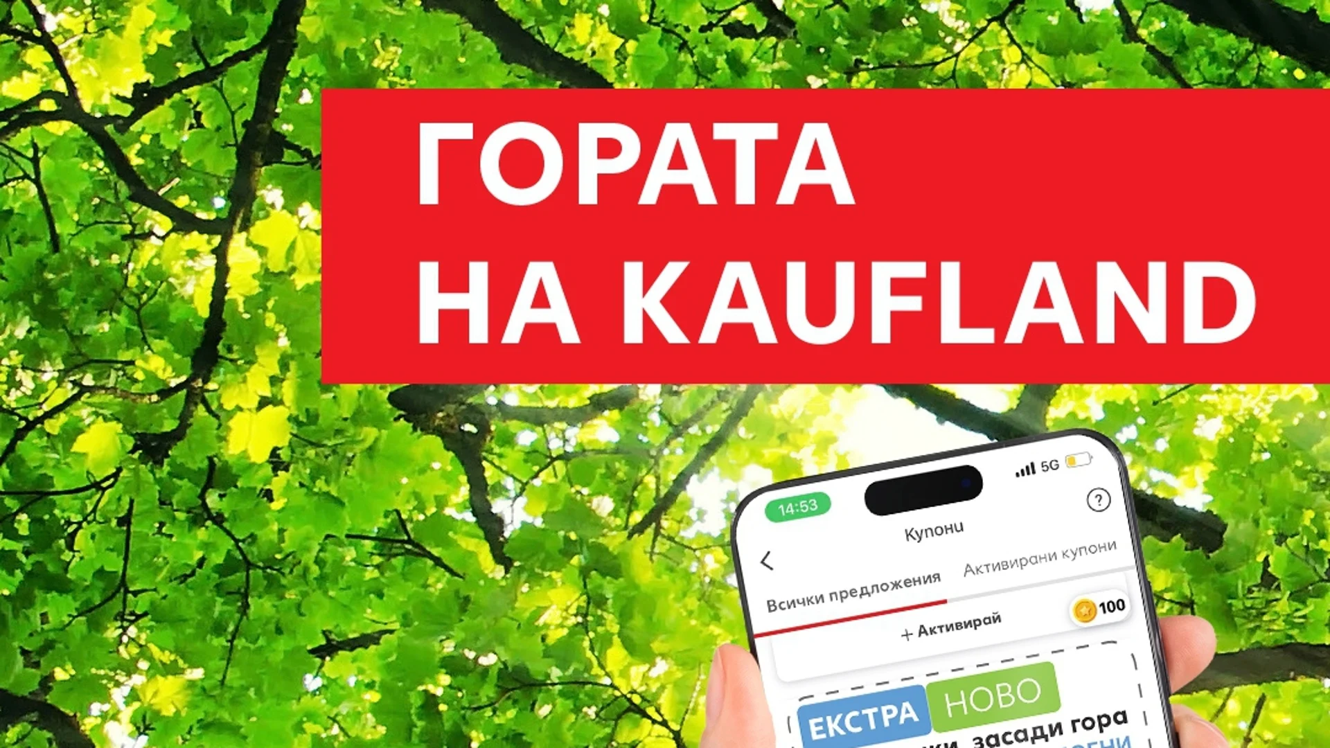 Клиентите на Kaufland се включват в засаждането на най-голямата споделена гора