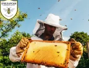 Kaufland осигури 5 стипендии на любители-пчелари в „Пчеларски университет“
