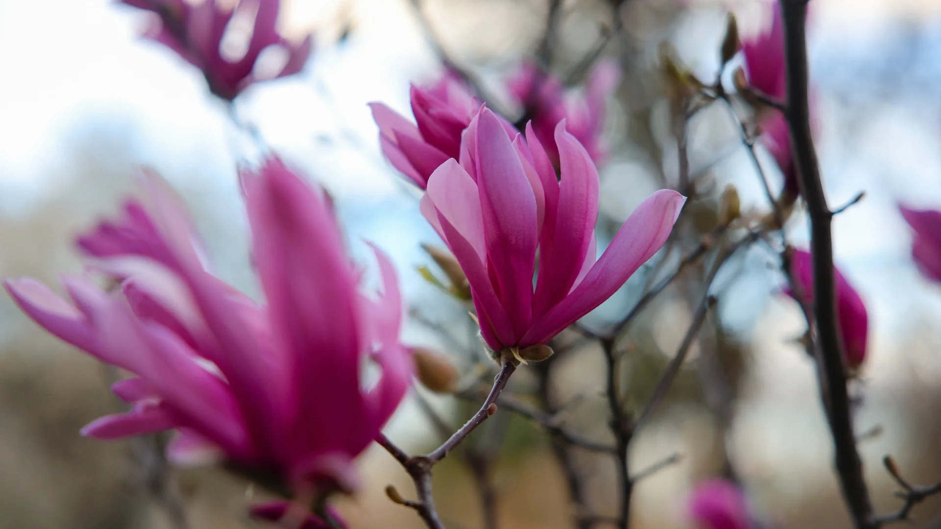 Прогноза за времето - 25 април 2024 г. (четвъртък)