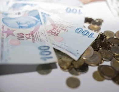 Турска лира - лев. Колко струва една турска лира към един български лев днес, 7 април /валутен калкулатор/