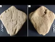 Откриха "скулптура" на възраст 130 000 години в ЮАР