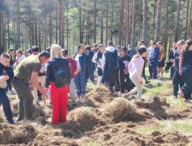 Ученици от Самоков се включиха в залесяване на парк 