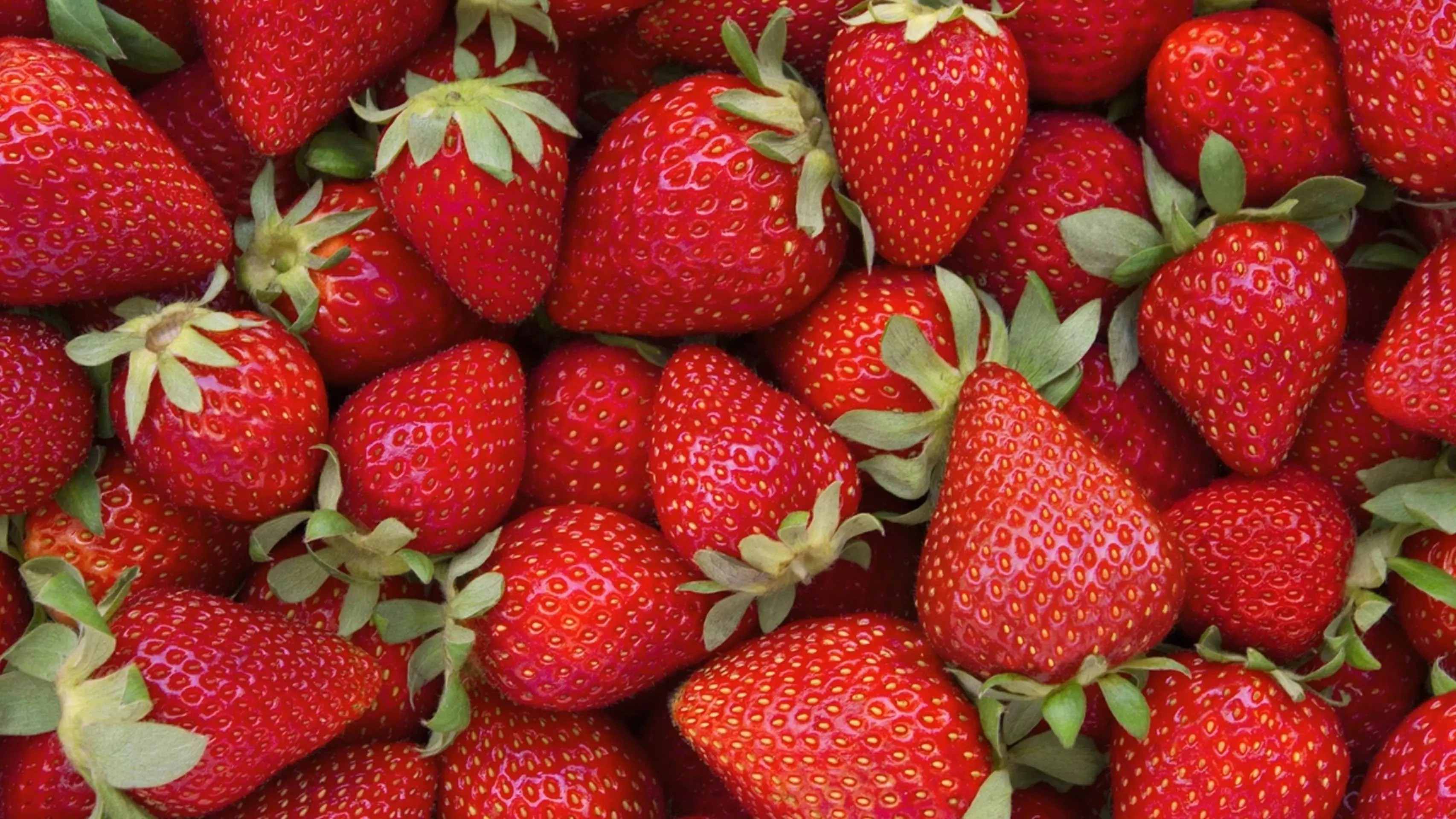 Торене на ягодите с йод - ето как се прави
