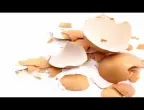 Как да варим яйцата, за да се белят най-лесно