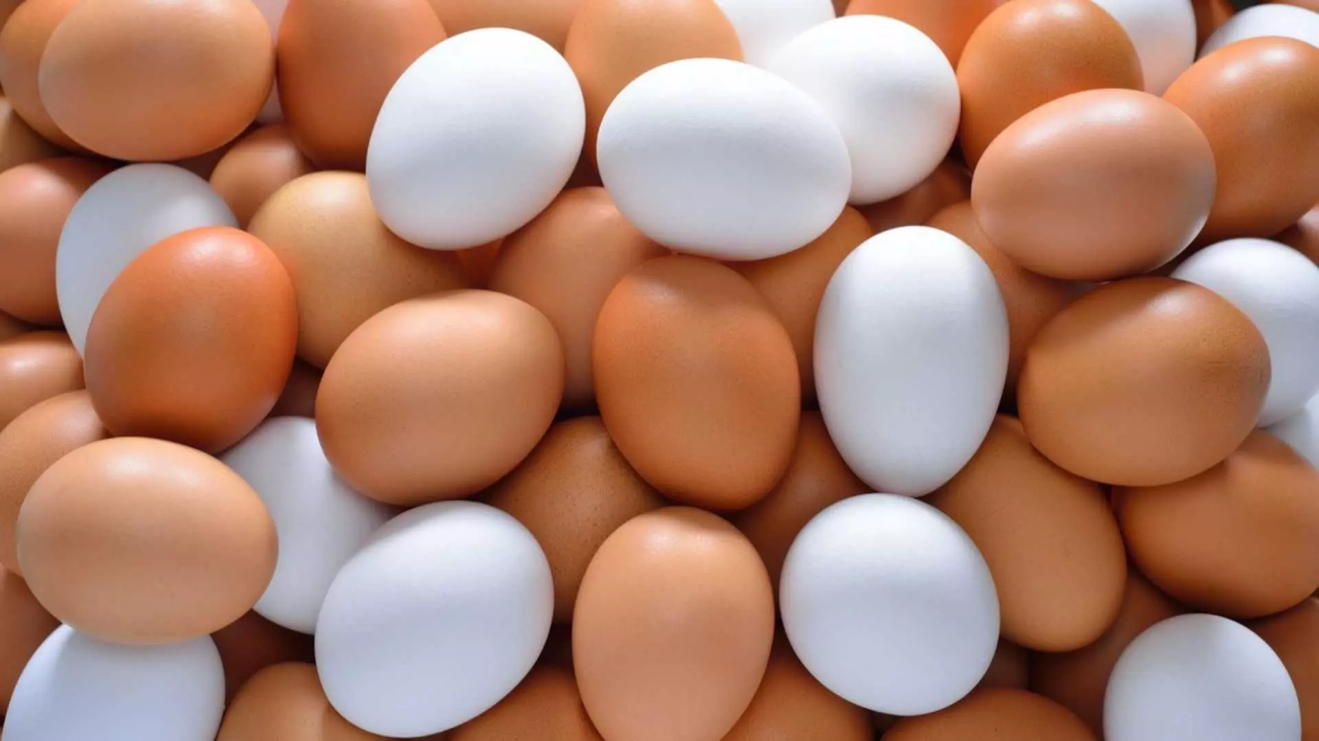 Кафявите яйца ще изчезнат от магазините. Защо?
