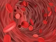 Витамините и храните, които разреждат кръвта